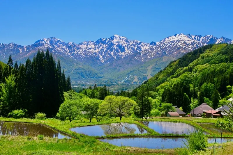 安曇野で春休みに満喫する家族向けサウナ体験と３月の白馬春スキー両立プラン