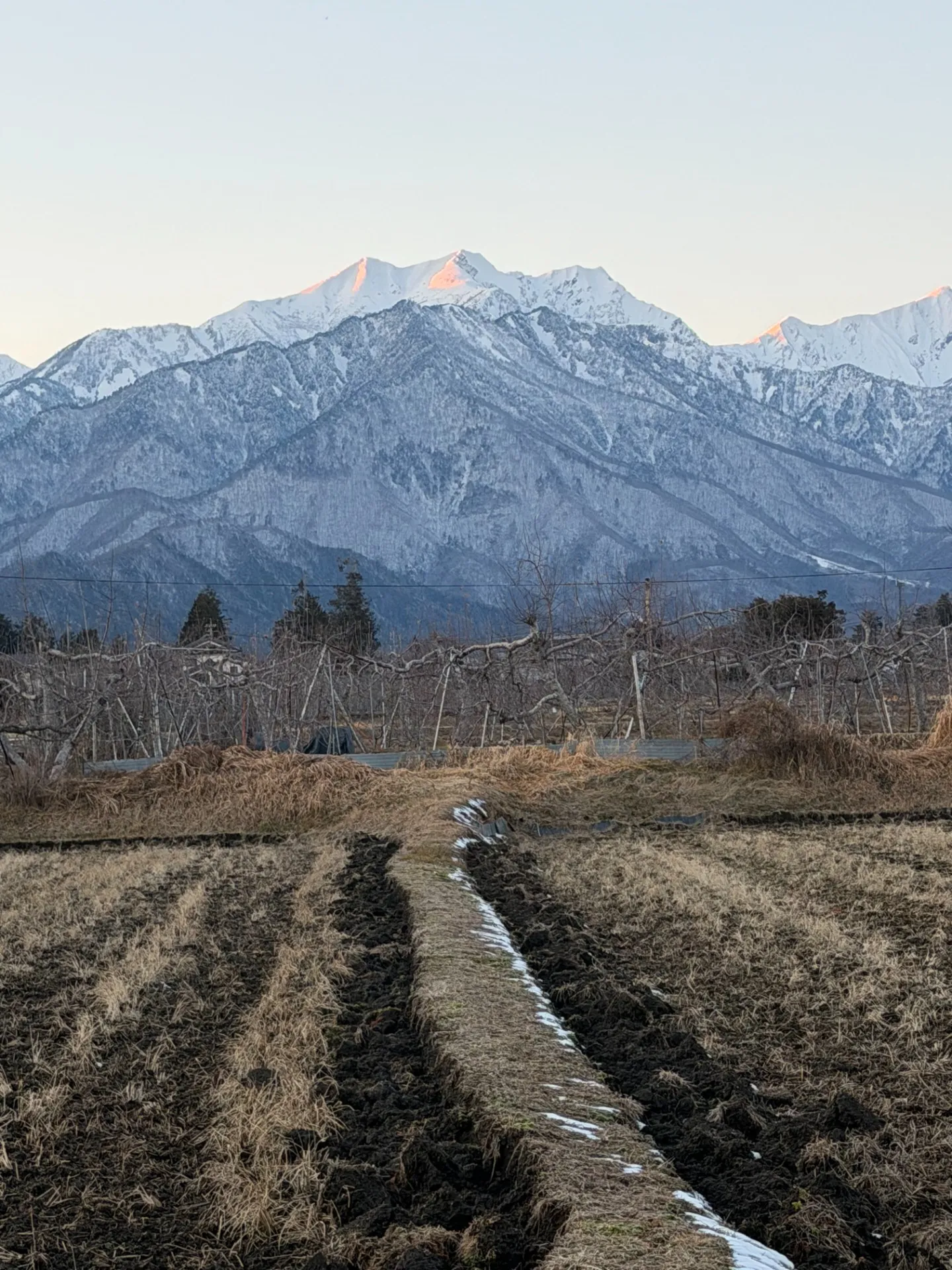 北アルプスの自然を満喫する最大12名宿泊コテージの魅力