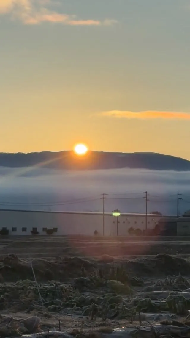 【長野 一棟貸し】雪が舞う八方尾根スキー場