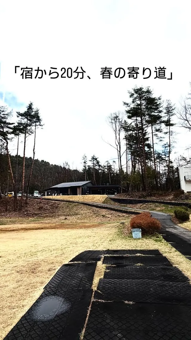 春休みで横浜から来た息子との休日。