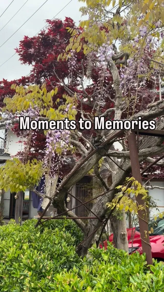 4月にご宿泊くださいました皆さま、ありがとうございました。